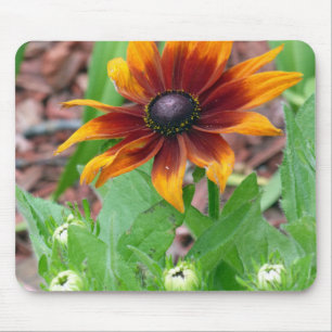 Autumn Colours Mouse Mat