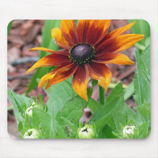 Autumn Colours Mouse Mat (Front)