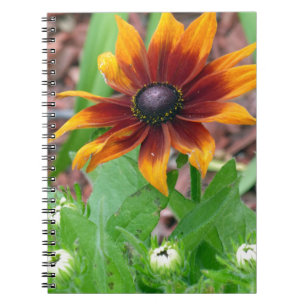 Autumn Colours Notebook