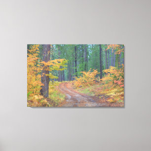 Autumn colours of forests in The Cascade 2 Canvas Print