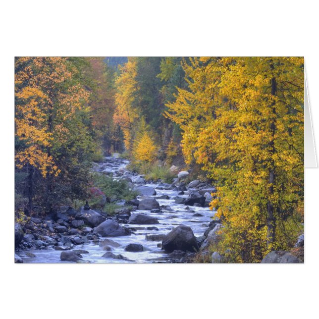 Autumn colours of forests in The Cascade 6 (Front Horizontal)