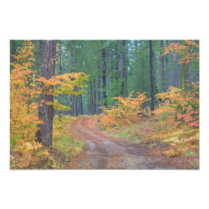 Autumn colours of forests in The Cascade 6 Photo Print