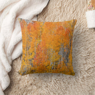 Autumn Colours on Aspen Groves Cushion