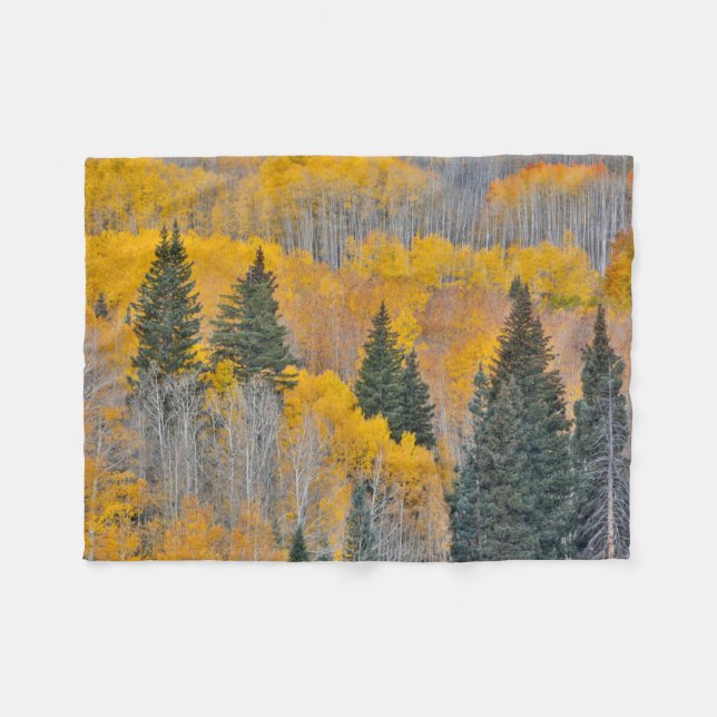 Autumn Colours on Aspen Groves Fleece Blanket (Front (Horizontal))