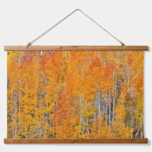 Autumn Colours on Aspen Groves Hanging Tapestry