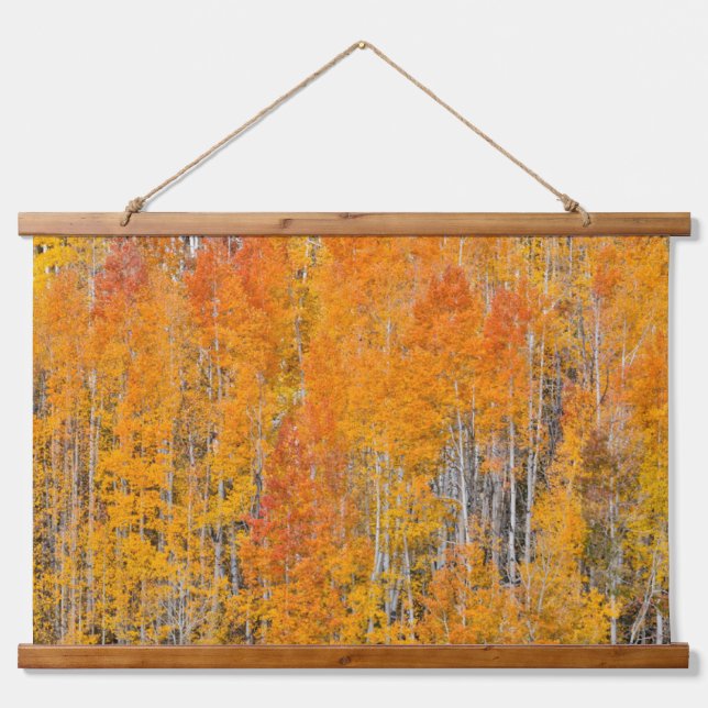 Autumn Colours on Aspen Groves Hanging Tapestry (Front)