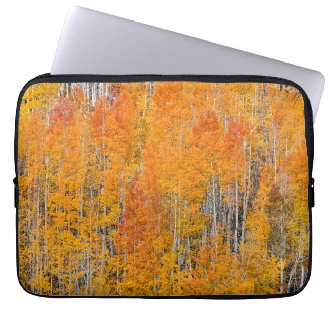 Autumn Colours on Aspen Groves Laptop Sleeve (Front)