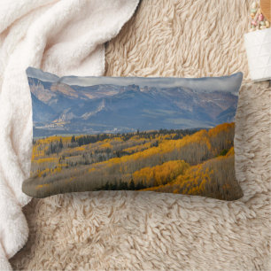Autumn Colours on Aspen Groves Lumbar Cushion