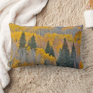 Autumn Colours on Aspen Groves Lumbar Cushion