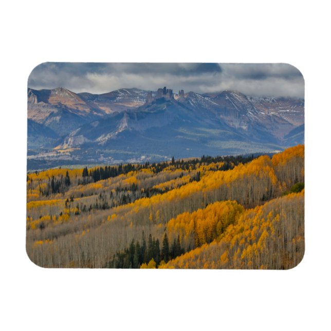 Autumn Colours on Aspen Groves Magnet (Horizontal)