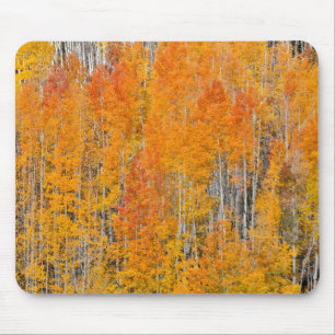 Autumn Colours on Aspen Groves Mouse Mat
