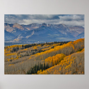 Autumn Colours on Aspen Groves Poster
