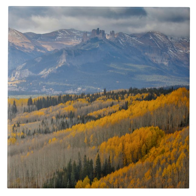 Autumn Colours on Aspen Groves Tile (Front)