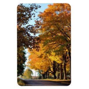 Autumn Colours on Country Road Magnet