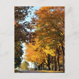 Autumn Colours on Country Road Postcard
