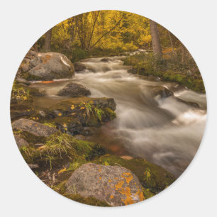 Autumn colours on Crestone Creek Classic Round Sticker