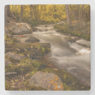 Autumn colours on Crestone Creek Stone Coaster