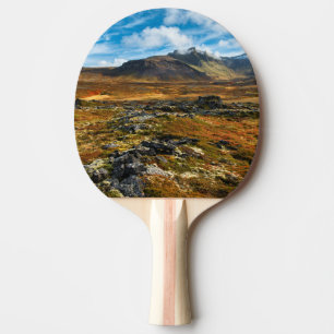 Autumn colours on the landscape ping pong paddle