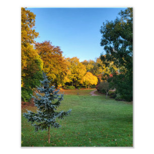 Autumn Colours  Photo Print