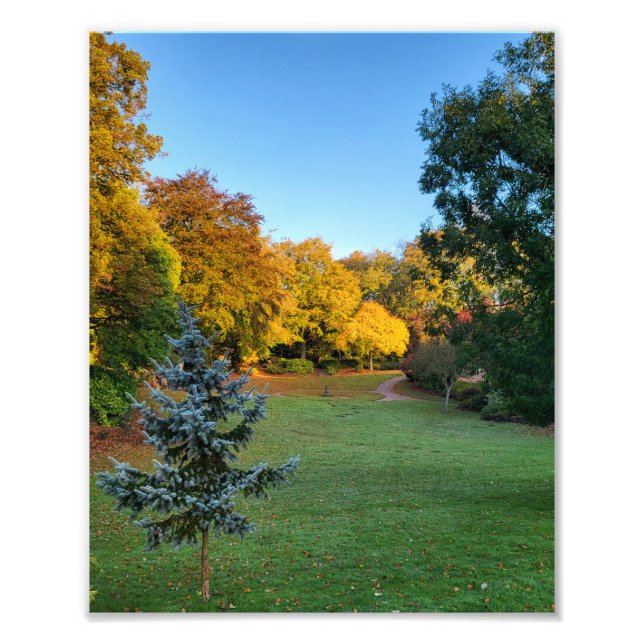 Autumn Colours  Photo Print (Front)