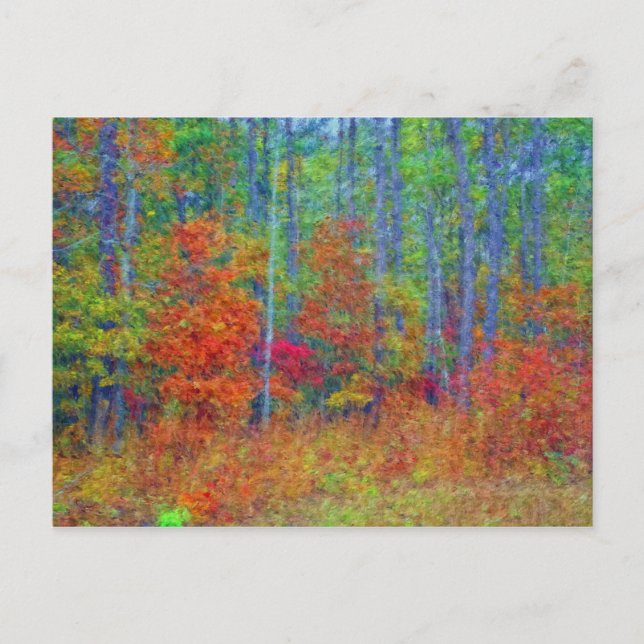 Autumn Colours Postcard (Front)