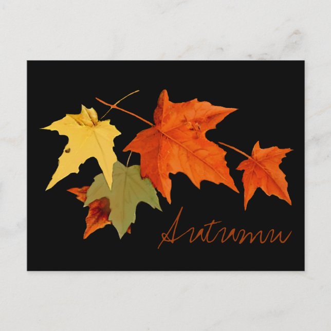 Autumn Colours Postcard (Front)