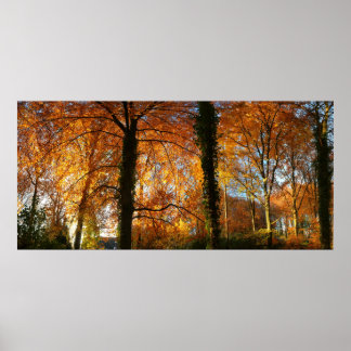 Autumn colours poster
