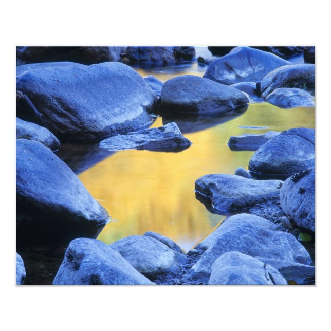 Autumn colours reflected in a wading pool, photo print (Front)