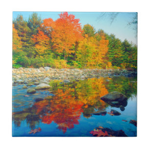 Autumn Colours reflecting in a stream in Vermont Tile