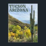 Autumn Colours Saguaro Sabino Canyon Postcard<br><div class="desc">Hi there! Hope you like this photo I captured on my travels. Feel free to add your own text! Check my shop for more.</div>