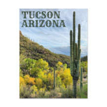 Autumn Colours Saguaro Sabino Canyon