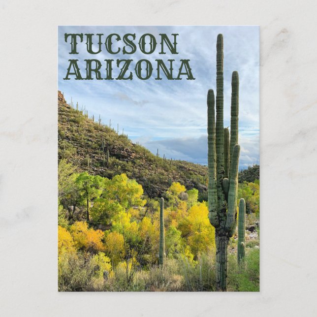 Autumn Colours Saguaro Sabino Canyon Postcard (Front)