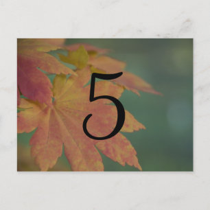 Autumn Colours Wedding Table Number Postcard