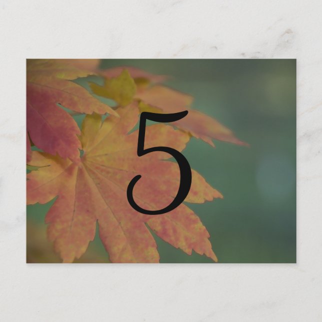 Autumn Colours Wedding Table Number Postcard (Front)