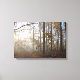 Autumn Comes to the Misty Woods Canvas Print