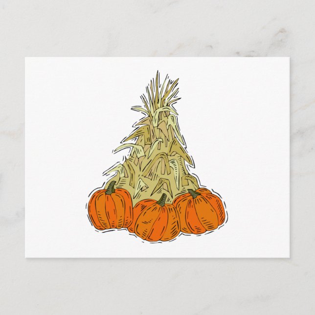Autumn Cornstalks Pumpkins Postcard (Front)