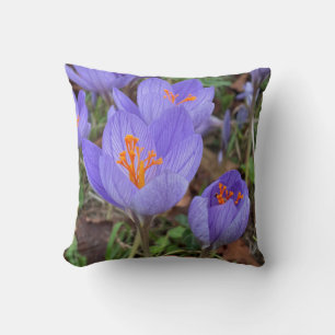 Autumn Crocus Cushion