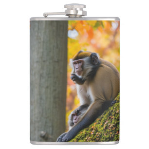 Autumn Curiosity: Monkeys at the Zoo in Fall Hip Flask
