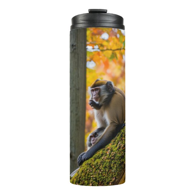 Autumn Curiosity: Monkeys at the Zoo in Fall Thermal Tumbler (Front)