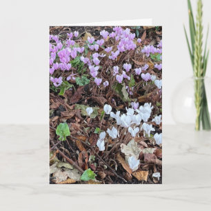 Autumn Cyclamen amongst Leaves Blank Card