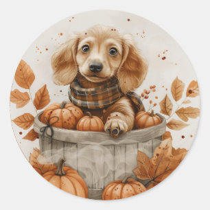 Autumn Dachshund Dogs Pumpkin Classic Round Sticker