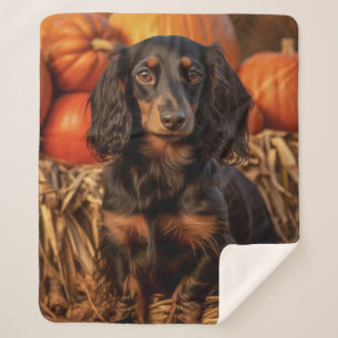 Autumn Dachshund Sherpa Blanket