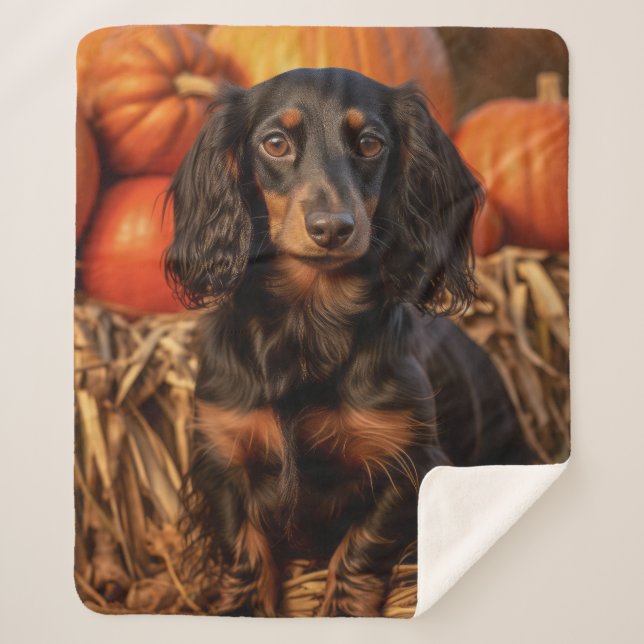 Autumn Dachshund Sherpa Blanket (Front)