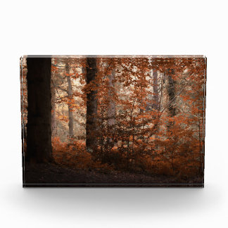 Autumn Dawn Photo Block