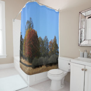 Autumn day in the country..... shower curtain
