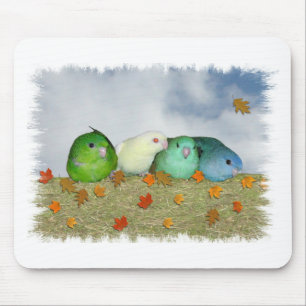 Autumn day mouse mat