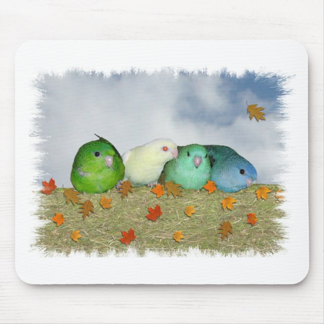 Autumn day mouse mat (Front)