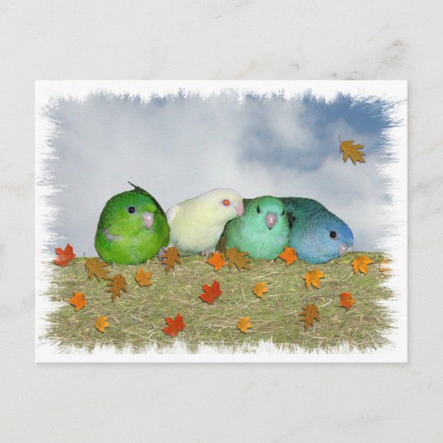 Autumn day postcard (Front)