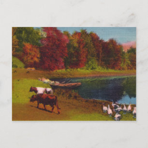 Autumn Day Vintage Postcard