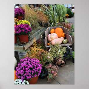 Autumn Decor